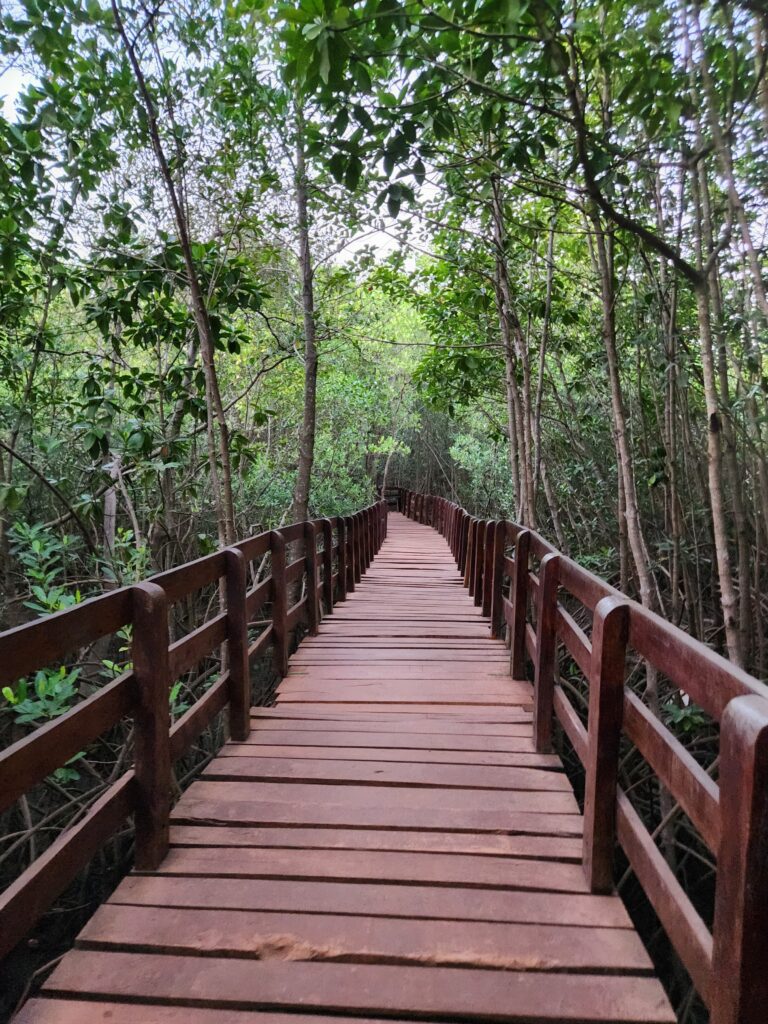 Gokarna hidden gems - Honnavar Board walk