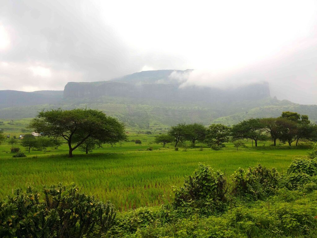 highcompress_Anjineri_fort_Nasik