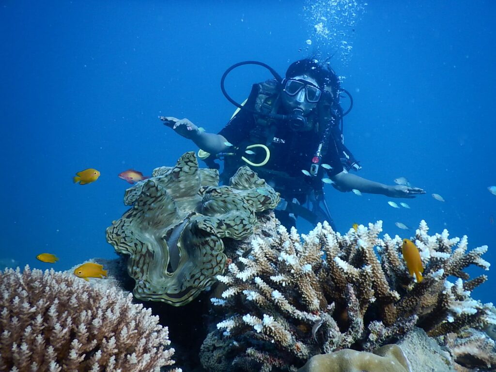 Gokarna Scuba 